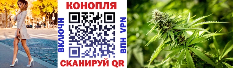 Канабис семена Мостовской